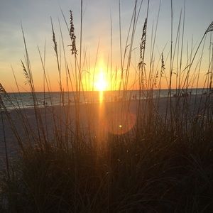 Meet your Posher, Sandy